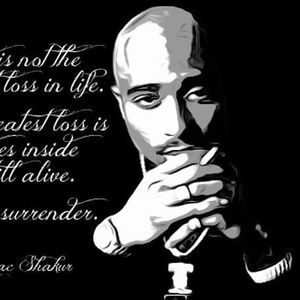 Meet your Posher, Dominick